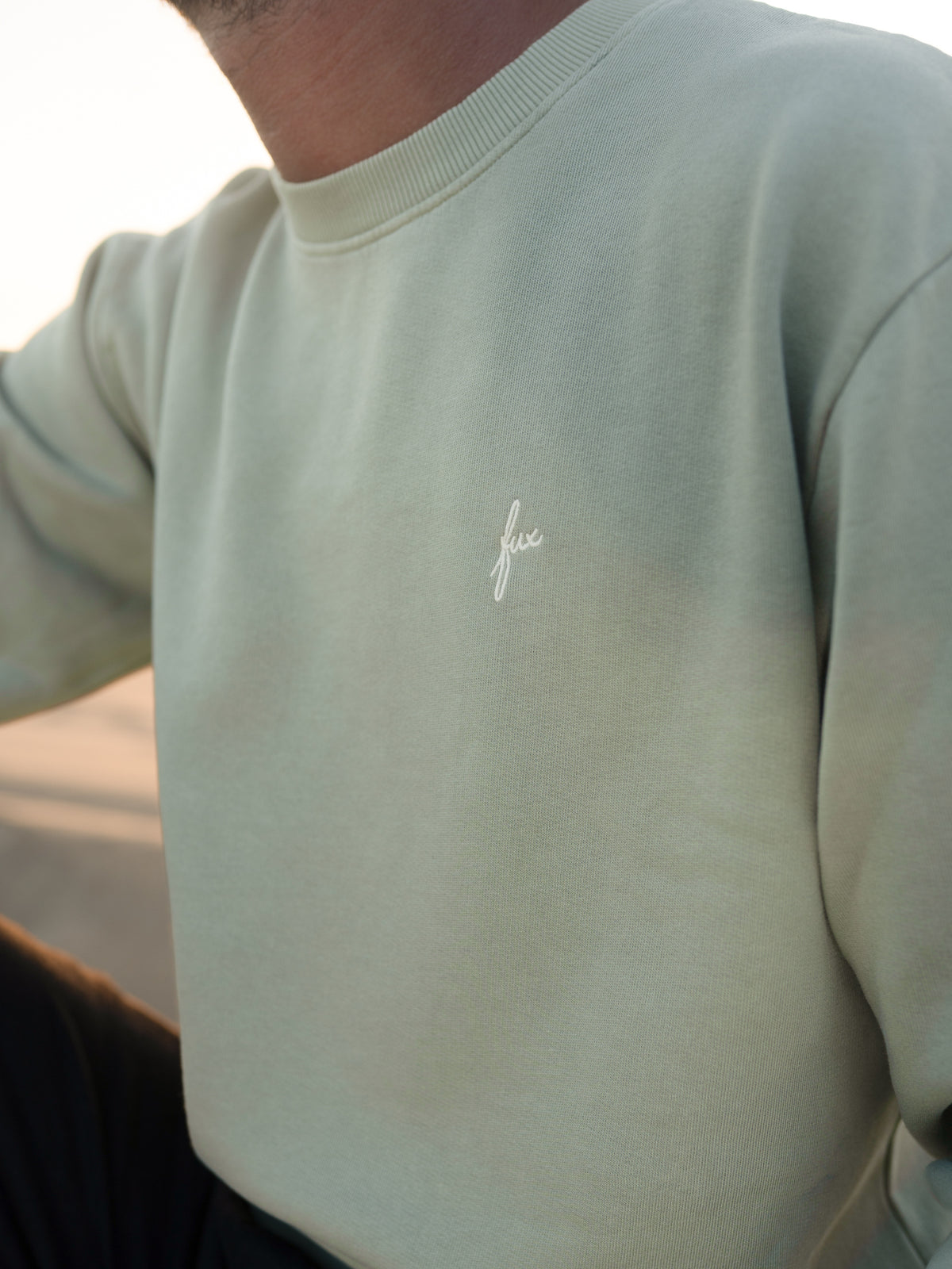 RĂŒckansicht vom seegrĂŒnen FUXBAU MĂ€nner Pullover am Strand bei warmem Abendlicht