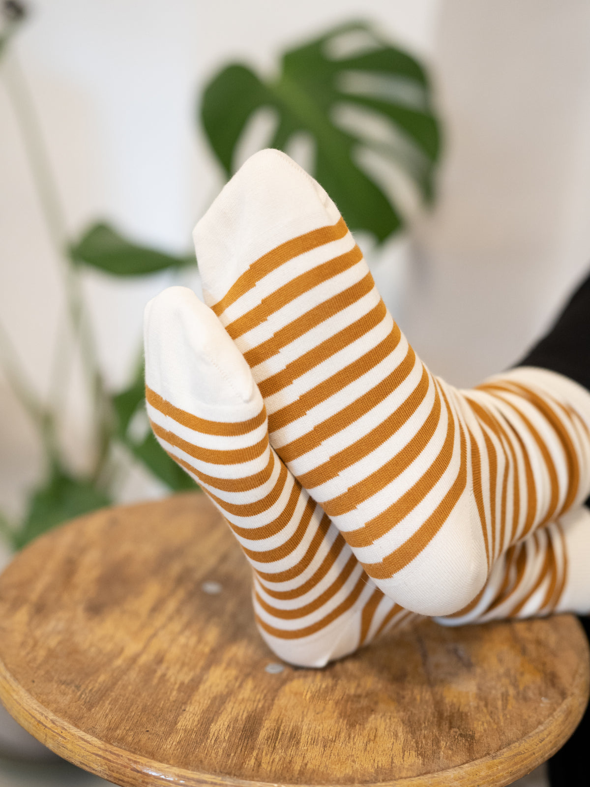 Fair Fashion Unisex Socken von FUXBAU in cremeweiss senf gestreift aus 100% Biobaumwolle.
